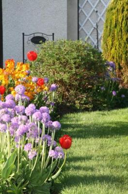 Ken-Mar House Bed And Breakfast Ballymoney Exteriör bild